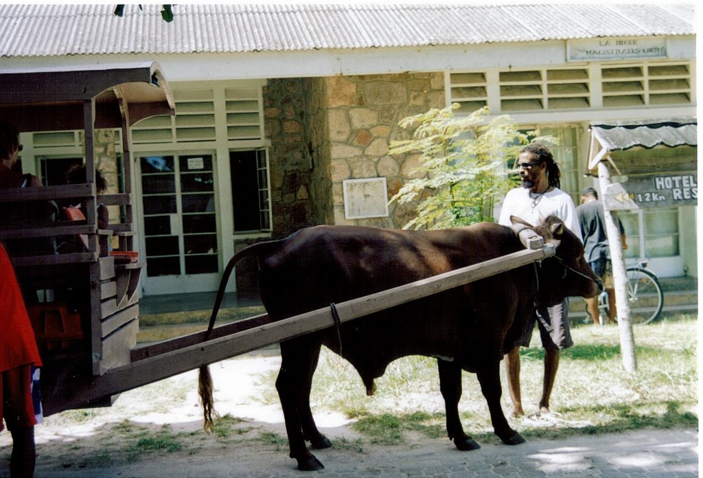 LA DIGUE, CARRETTO TRAINATO DAI BUOI ALLE ISOLE DELLE SEYCHELLES